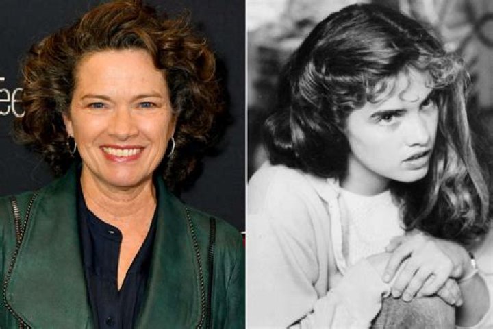 Heather Langenkamp biografía, edad, altura, esposa, net worth, familia