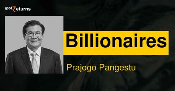 Prajogo Pangestu Biography, Age, Height, Wife, Net Worth and Family